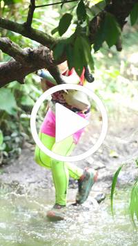 BIB:  <button type="button" onclick="openModal(27487217)" class="btn btn-primary btn-sm float-right" data-toggle="modal" data-target=".modal-high-quality">
                <i class="fa fa-download"></i> Download
                </button>